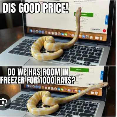 creator slipperysnake's avatar