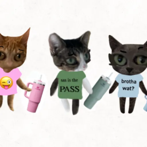 creator Cat finder's avatar