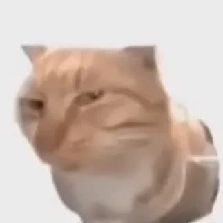 creator Nauseous cat's avatar
