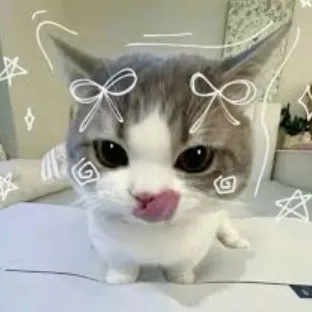 creator 💫 Vanilla 🌟's avatar