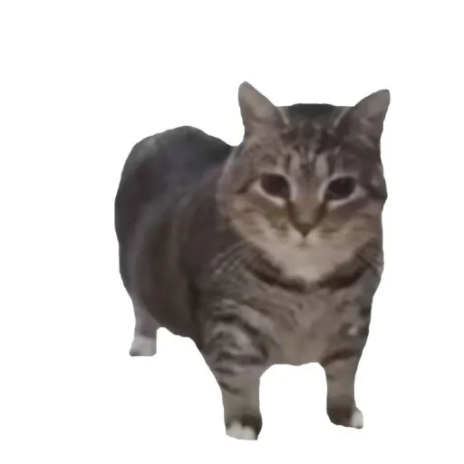creator UIIAI★'s avatar