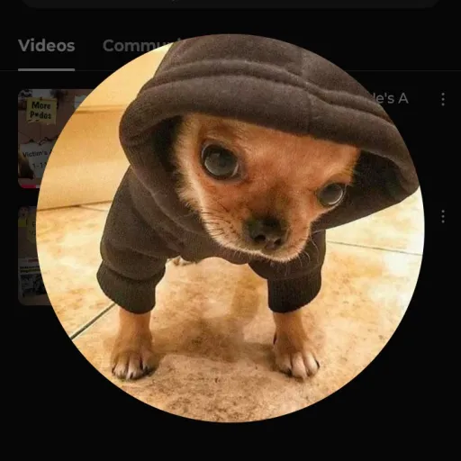 creator Leogod's avatar