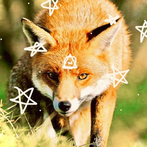 creator +*{Crystal_yt}*+'s avatar