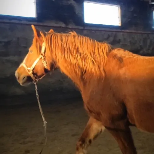 creator 🩵💜🩵SASA🩵💜🩵's avatar