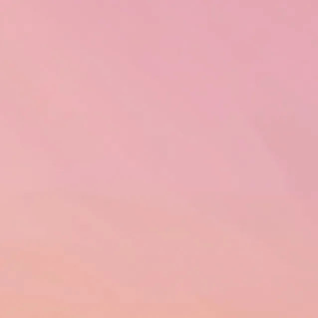 chat with ai character: tailess cat