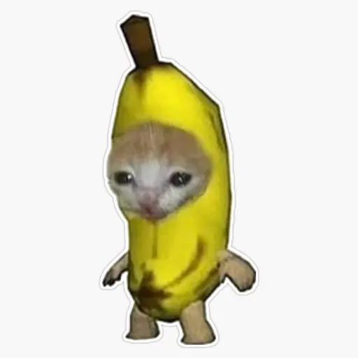 creator Bnanacat's avatar
