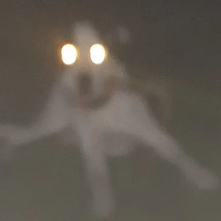 creator tenzinozyfoyrsysor's avatar