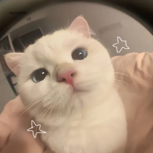 creator keizi chan's avatar
