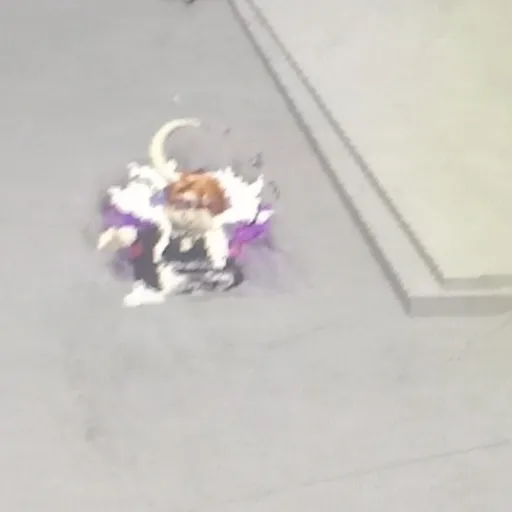 creator Justanormalbacon's avatar