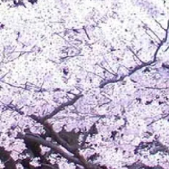 creator purple_tree's avatar