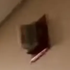 creator fire alarm's avatar