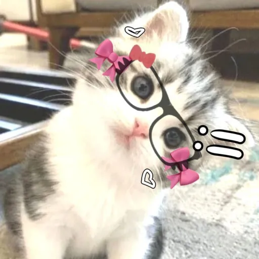 creator Yukina_Sanshine's avatar