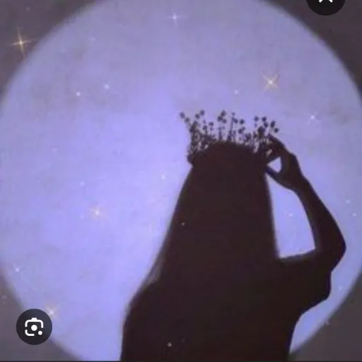 creator Princesse_Violet💜's avatar