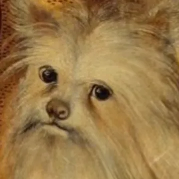 creator Rawrpelican's avatar