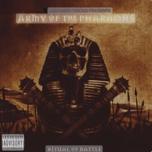 creator AOTP's avatar