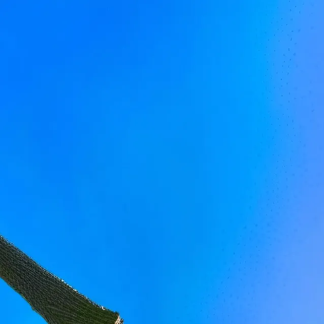 chat with ai character: Axell hodges