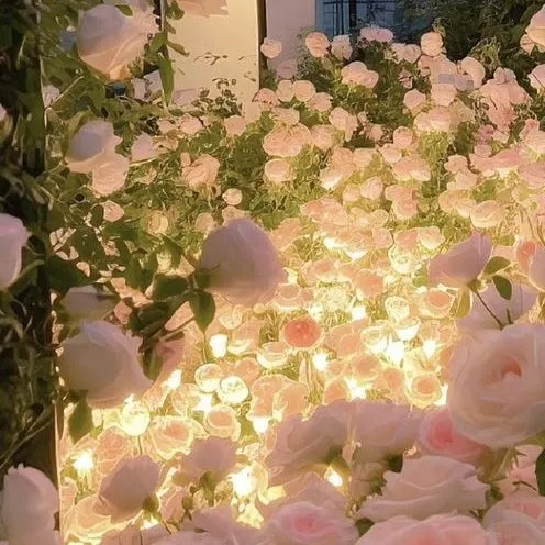 creator 🌷 ~ B E L L A ~ 🌷's avatar