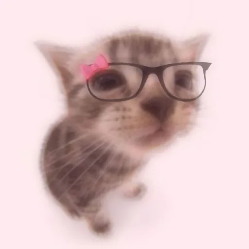 creator ★🎀🌙💤Cozy_pop💤🌙🎀★'s avatar