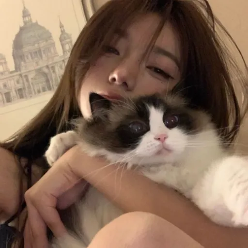 creator Emilia°'s avatar