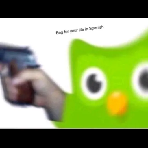 creator OG_Doulingo's avatar