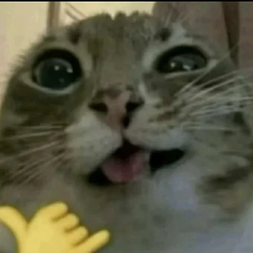 creator 1t2_Ash's avatar