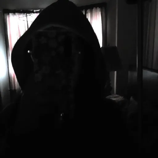 creator `hxen1na's avatar