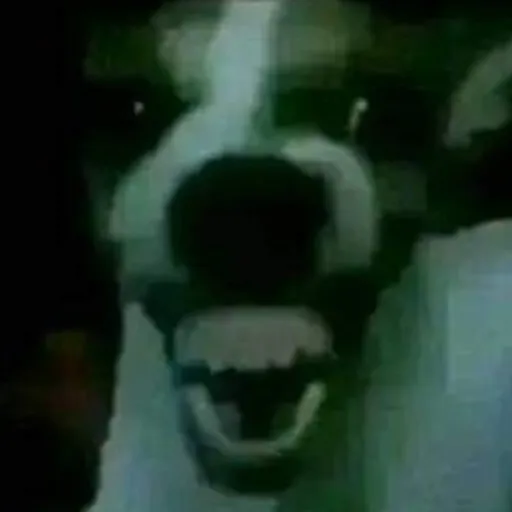 creator Bac0nH1ck#0816's avatar