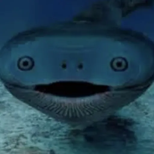 creator ★Ãmber★~‽'s avatar