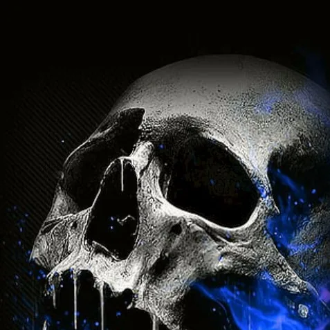 creator blue fire-skull's avatar