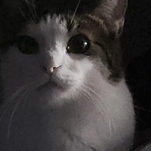 creator TORITHEGREAT's avatar