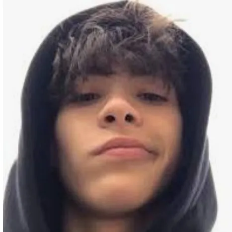 creator im a boi's avatar