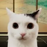 creator JERMBO_CAT's avatar