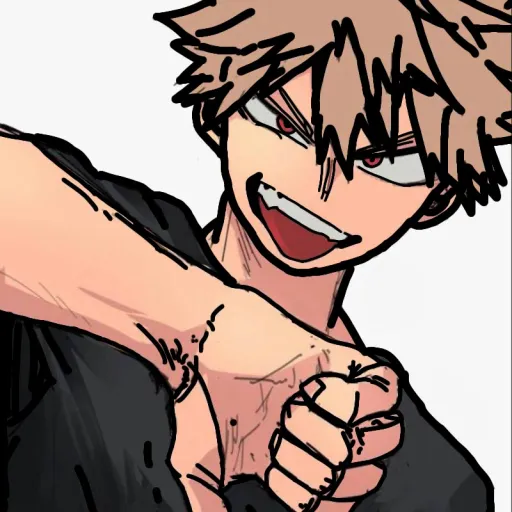 creator 💥🔥katsuki~bakugo🔥💥's avatar