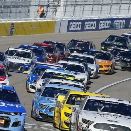 creator Nascar lover's avatar