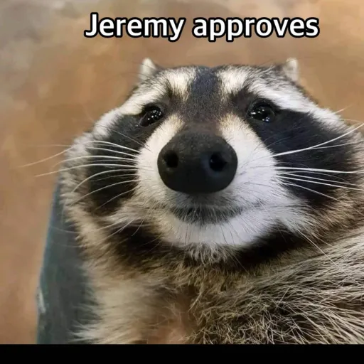 creator Jermey approves's avatar
