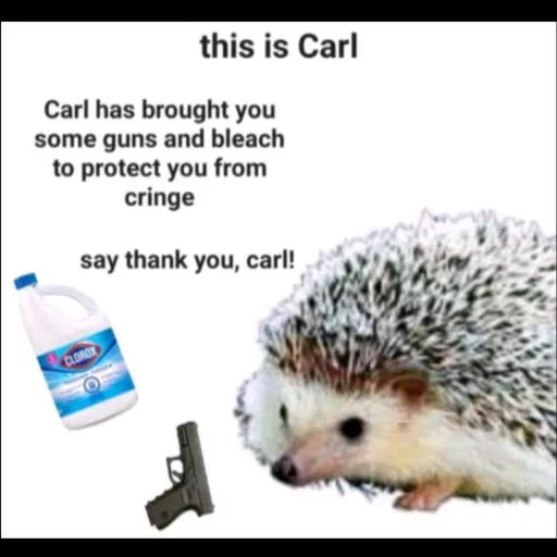 creator thanks you carl's avatar