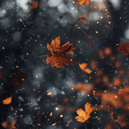 creator 🍁🍂Kyile 🍂🍁's avatar