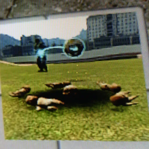 creator garrys mod lover's avatar