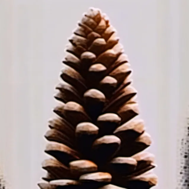 chat with ai character: female pine cone