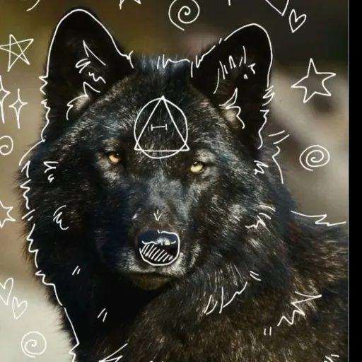 creator Wolfpawzzz's avatar