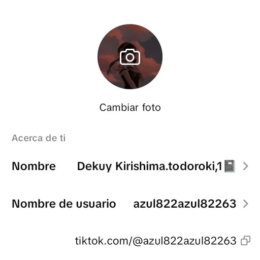 creator Kirishima todoroki's avatar