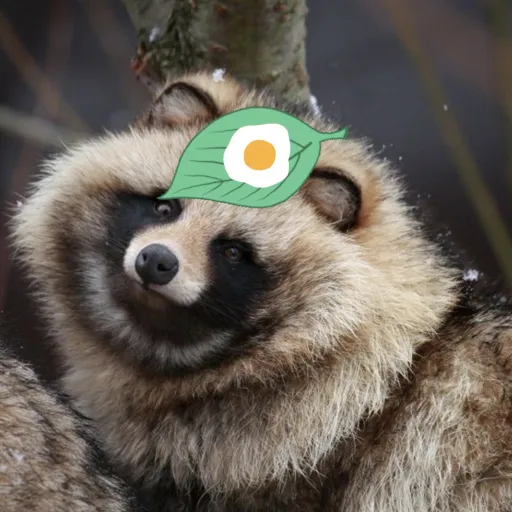creator EggTanuki🍳's avatar