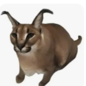 creator Floppatheone's avatar