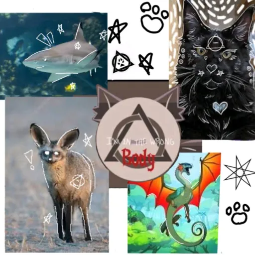 creator Lynx_therian🍁🐾🦋🥀's avatar