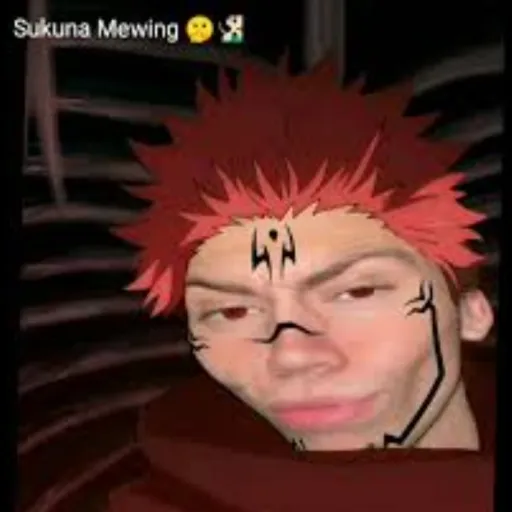 creator sukuna_is_the_goat's avatar