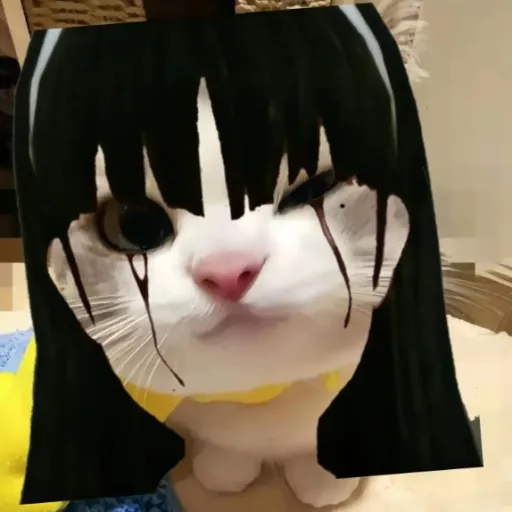 comment user avatar
