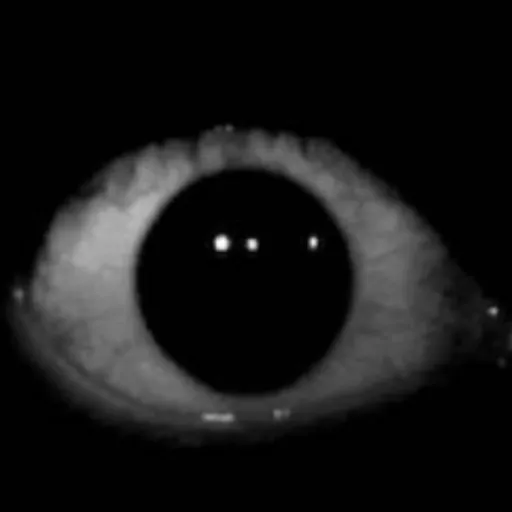 creator Eyeba11's avatar