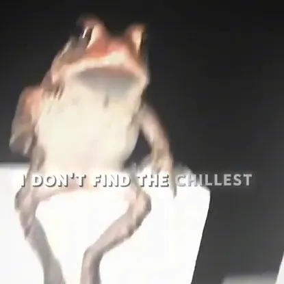 creator реиℹ️s's avatar