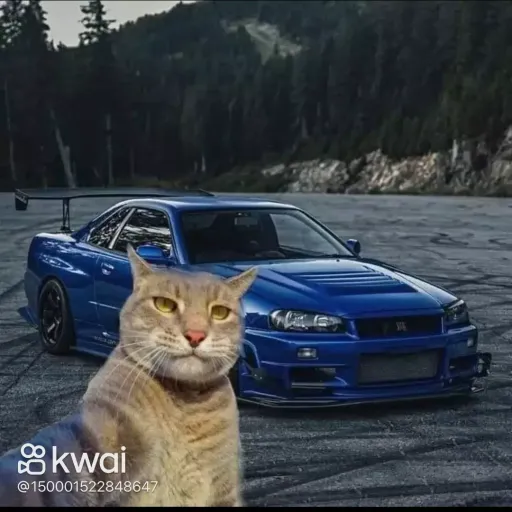 creator Tu paps's avatar