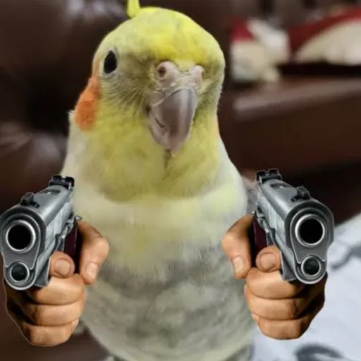 creator Just a Birb's avatar